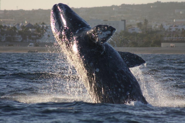 Una experiencia unica